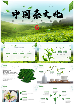 大气茶产业商业计划书模板详析与发展建议