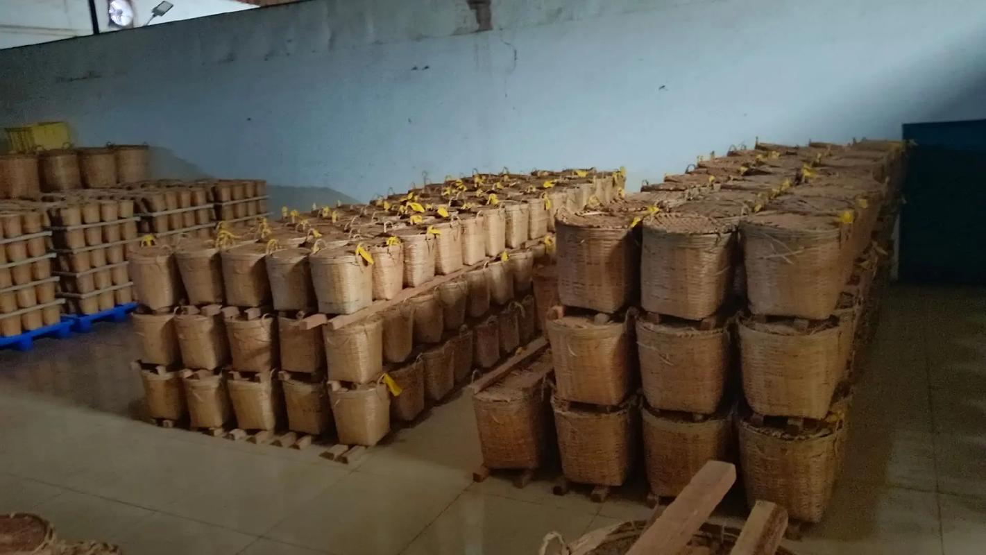 地理标志产品正式上市!关注我:苍顺六堡茶#六堡茶 #源头工厂