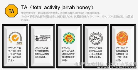 【澳大利亚蜂蜜 梅翠思野地花蜂蜜500g 百花蜂蜜 保健茶】价格_厂家_图片 -